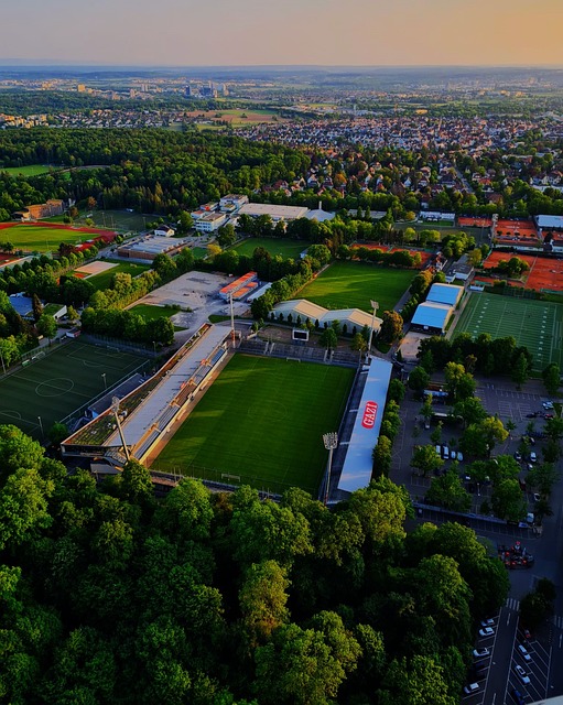 规则不仅是 规则不仅是