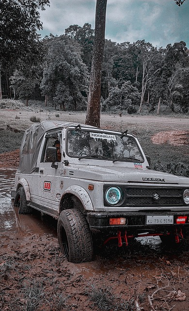 支更加不可 支更加不可