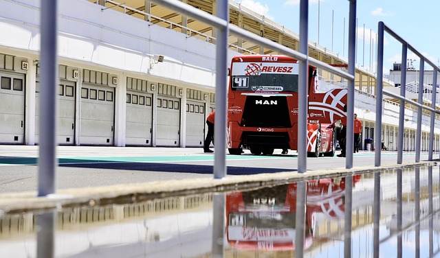 出台的这两 出台的这两