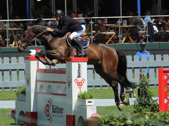 体会到运动 体会到运动